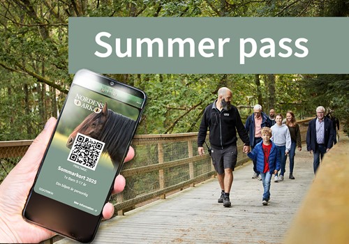 Bild Season pass 2025