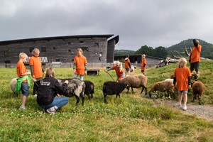 Expedition: Wild