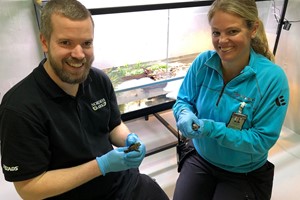 Why collaborate with Nordens Ark?