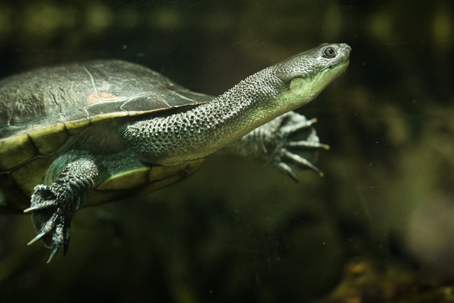 Foto: Marie Mattsson