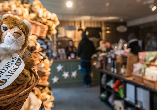 Bild The shop for both young & old