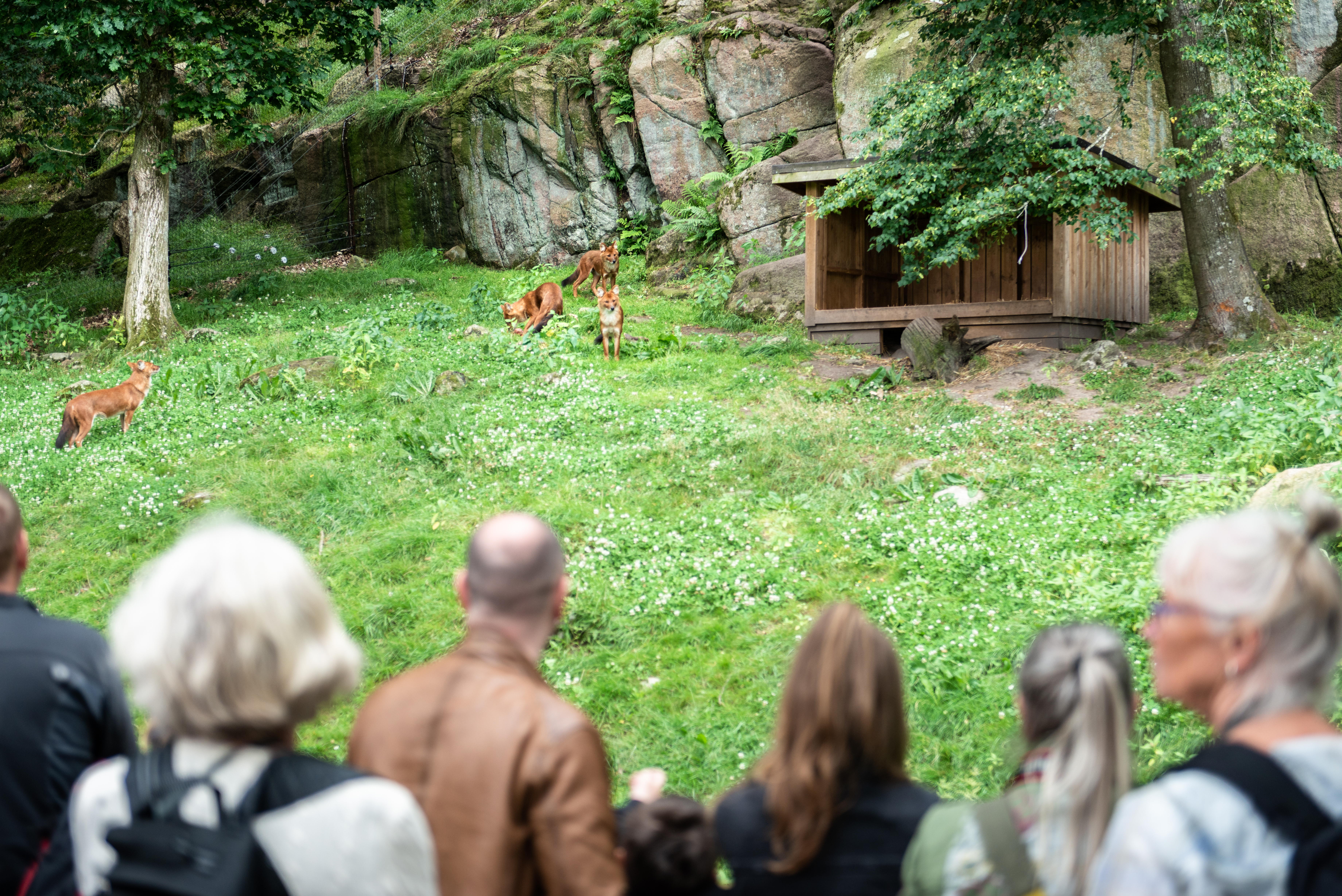 Experiences for groups & schools