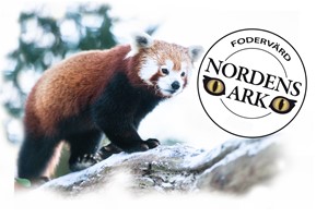 Become an animal adopter
