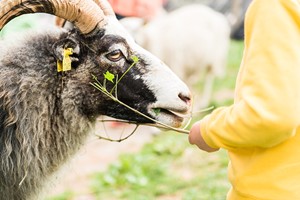 Partners & memberships