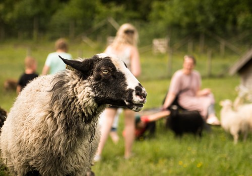 Bild Prices membership 2026