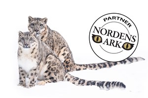 Become partner SEK 100 000 +