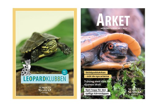 Bild Member magazines