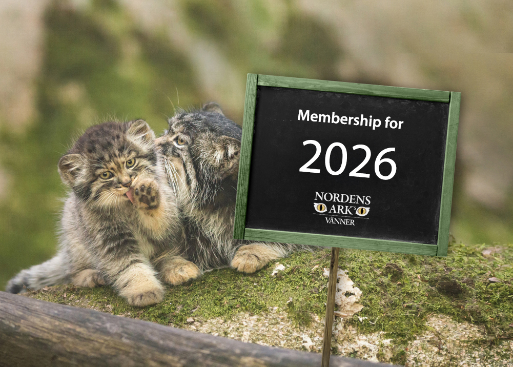 The Friends of Nordens Ark