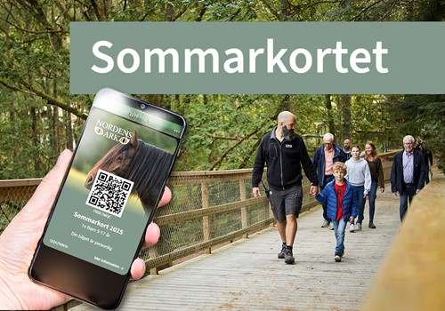 Bild Summer pass 2025