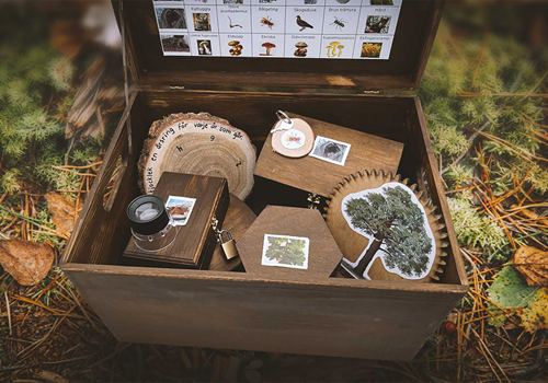 Bild Escape Box – Half-term challenge in the Tiger House