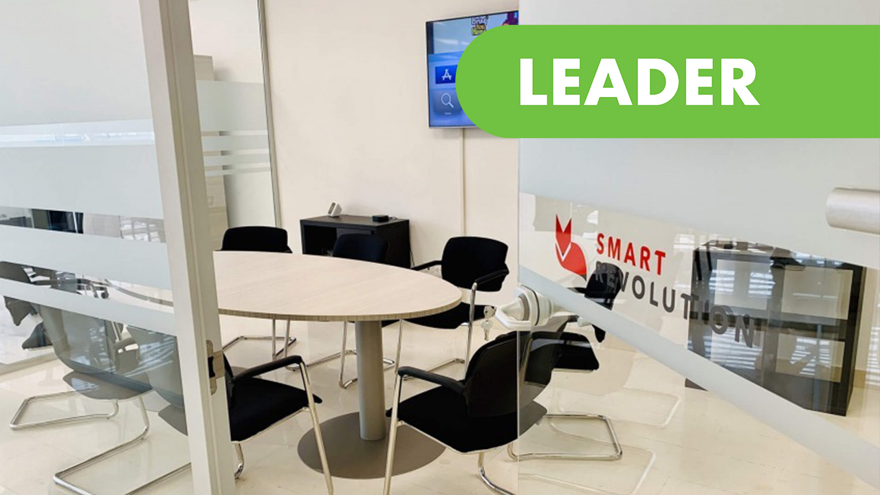 Smart Revolution -Project leader