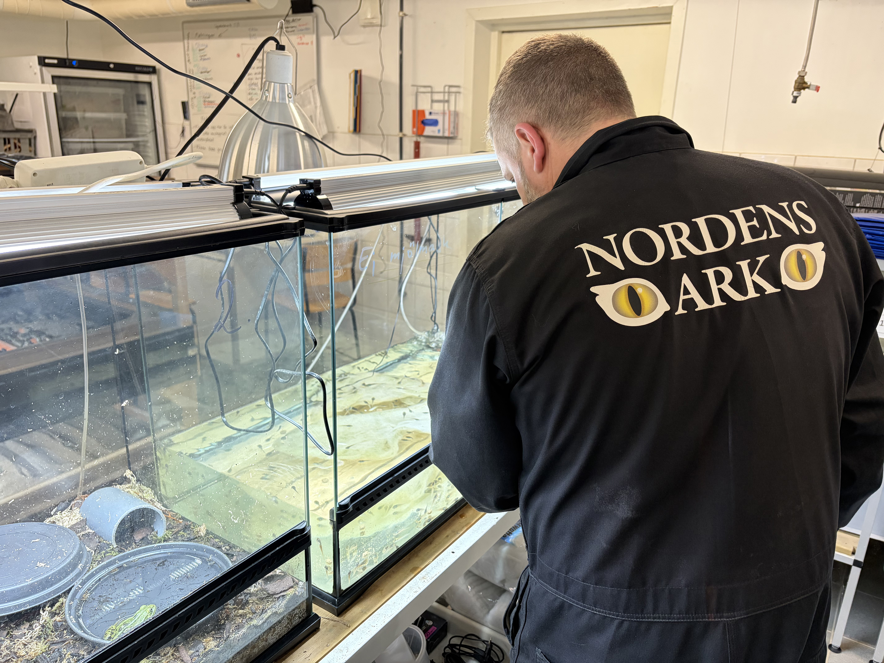 Foto: Nordens Ark