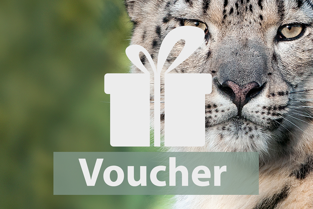 Give a season pass as a gift