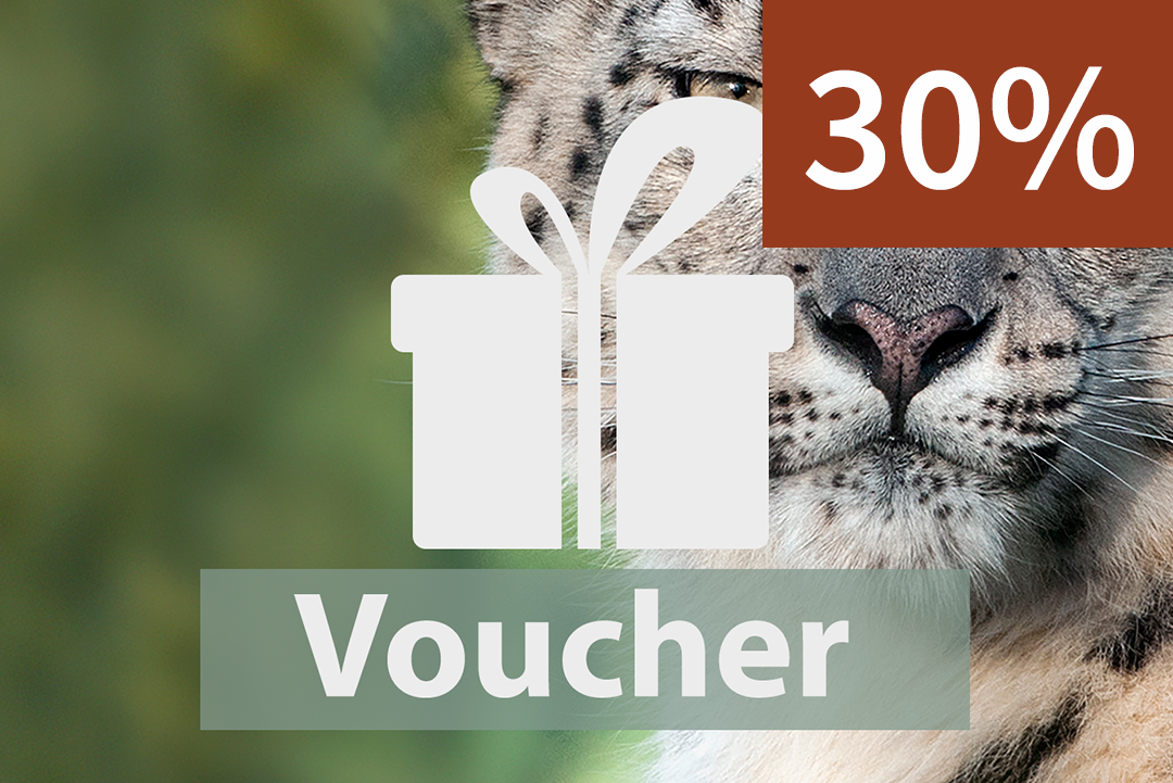 Give a 2027 season pass as a gift
